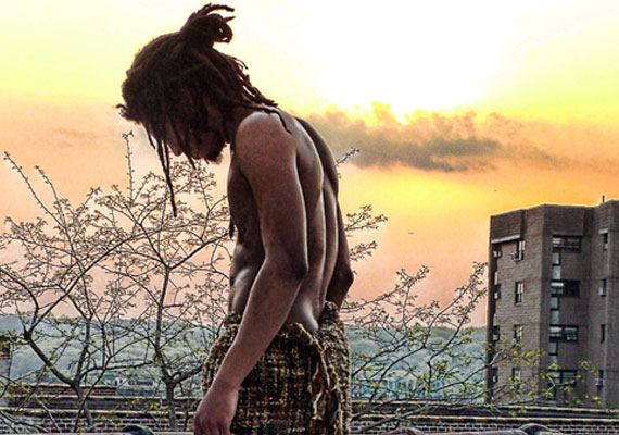 18 x 24 | 2014 | Series of 5<br> Nature + Humanity + Introspection + Harmony + Conflict