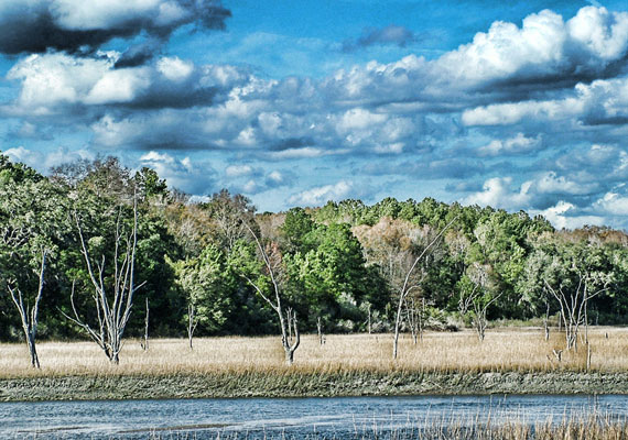9.75 x 13 | 2011 | Series of 12 <br> Low Country + Calm + Peaceful + Bliss.