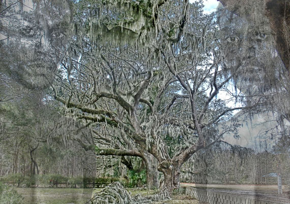 13 x 19 | 2013 | Series of 5 <br> Whispered Past + Engrained + Haunting + History Unspoken.