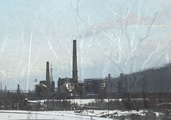 9 x 14.5 | 2011 | Series of 12 <br> Decay + Pollution + Nature + NJ|SC.